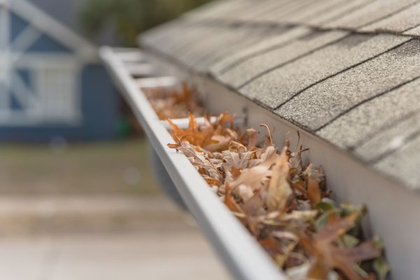 Leaf Barrier Installation in Shingle Springs